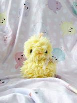 Yellow cuddle chick