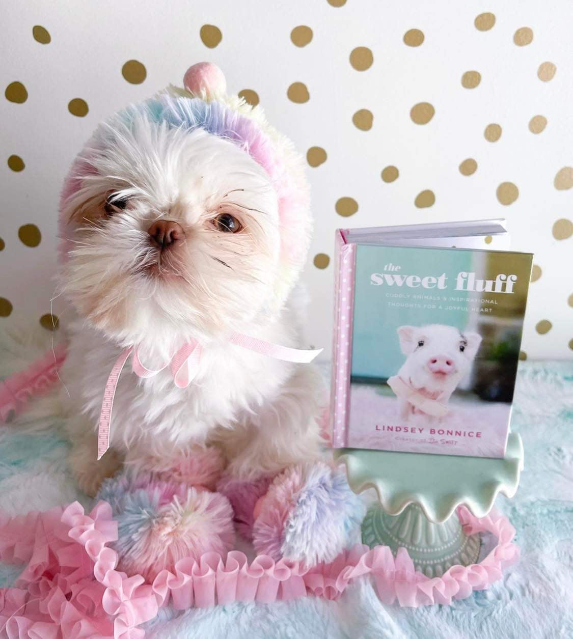 The Sweet Fluff Book by Lindsey – Live Sweet Shop